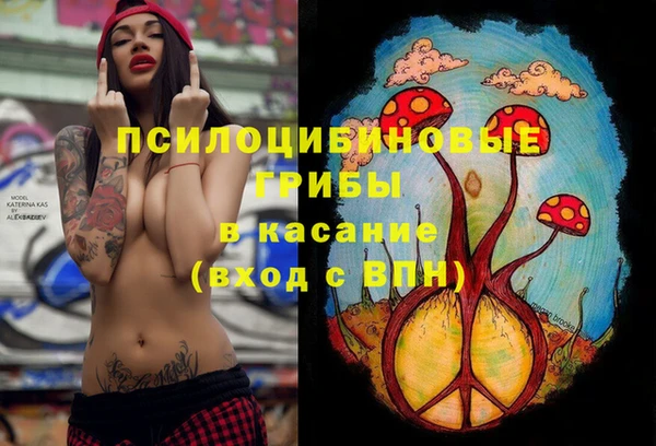 ГАЛЛЮЦИНОГЕННЫЕ ГРИБЫ Билибино