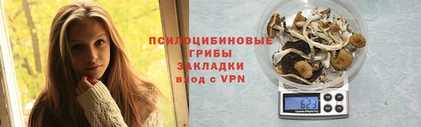 сатива Белокуриха