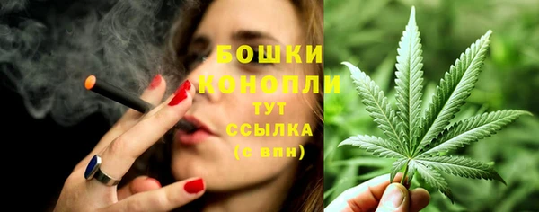 сатива Белокуриха