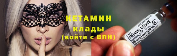 сатива Белокуриха