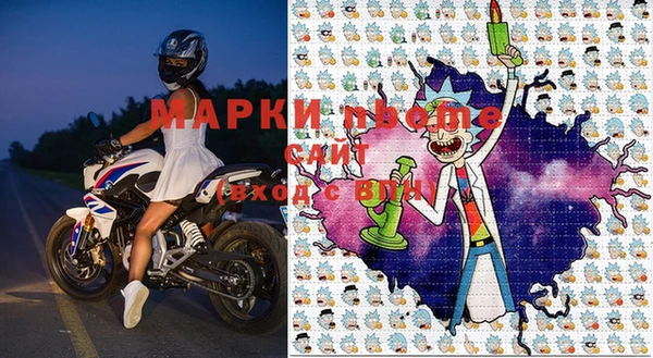 сатива Белокуриха