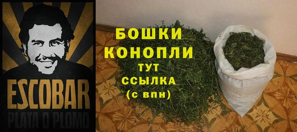 сатива Белокуриха