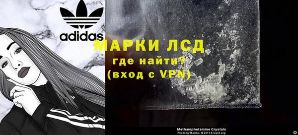 сатива Белокуриха