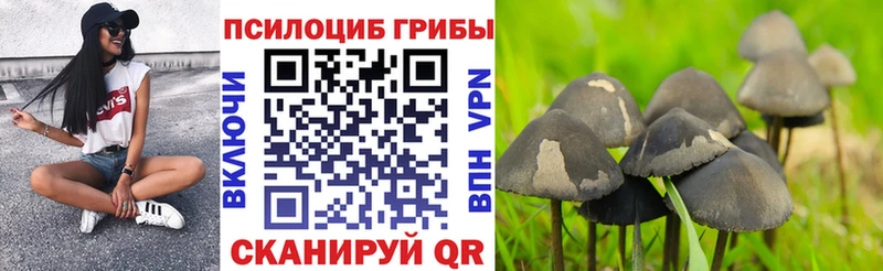 Псилоцибиновые грибы ЛСД Вятские Поляны